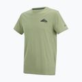 Tricou de trekking pentru bărbați REGATTA Breezed light sage 7