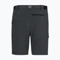 Pantaloni scurți de trekking pentru bărbați REGATTA Anti Insect Travel Light ash 6