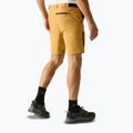 Pantaloni scurți de trekking pentru bărbați REGATTA Anti Insect Travel Light wood brown 3