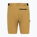 Pantaloni scurți de trekking pentru bărbați REGATTA Anti Insect Travel Light wood brown 6