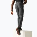 Pantaloni de trekking pentru bărbați REGATTA Anti Insect Travel Light ash 4