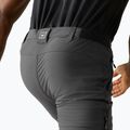 Pantaloni de trekking pentru bărbați REGATTA Anti Insect Travel Light ash 7