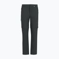 Pantaloni de trekking pentru bărbați REGATTA Anti Insect Travel Light ash 8