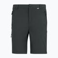Pantaloni de trekking pentru bărbați REGATTA Anti Insect Travel Light ash 11