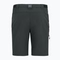 Pantaloni de trekking pentru bărbați REGATTA Anti Insect Travel Light ash 12