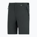 Pantaloni de trekking pentru bărbați REGATTA Anti Insect Travel Light ash 13