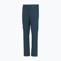 Pantaloni de trekking pentru bărbați REGATTA Anti Insect Travel Light night sky 3