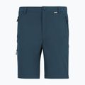 Pantaloni de trekking pentru bărbați REGATTA Anti Insect Travel Light night sky 4