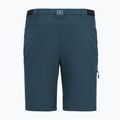 Pantaloni de trekking pentru bărbați REGATTA Anti Insect Travel Light night sky 5