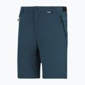 Pantaloni de trekking pentru bărbați REGATTA Anti Insect Travel Light night sky 6