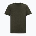 Tricou de trekking pentru bărbați REGATTA Fingal Edition dark khaki 5