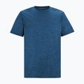 Tricou de trekking pentru bărbați REGATTA Fingal Edition olymblu 5