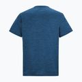 Tricou de trekking pentru bărbați REGATTA Fingal Edition olymblu 6