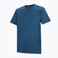 Tricou de trekking pentru bărbați REGATTA Fingal Edition olymblu 7