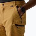 Pantaloni scurți de trekking pentru bărbați REGATTA Leesville III wood brown 5