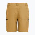 Pantaloni scurți de trekking pentru bărbați REGATTA Leesville III wood brown 7