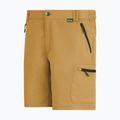 Pantaloni scurți de trekking pentru bărbați REGATTA Leesville III wood brown 8