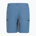 Pantaloni scurți de trekking pentru bărbați REGATTA Leesville III china blue 6