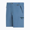 Pantaloni scurți de trekking pentru bărbați REGATTA Leesville III china blue 7