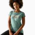 Tricou de trekking pentru femei REGATTA Breezed ivy moss 4