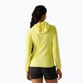 Bluză de trekking pentru femei REGATTA Huntdale canary yellow 3