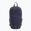 Rucsac de oraș REGATTA Everyday Prism 20 l night sky