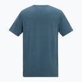 Tricou pentru bărbați REGATTA ClineIX grey mirage regatta compass 8