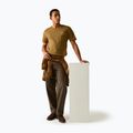 Tricou pentru bărbați Regatta ClineIX rich tan original outdoor 2