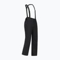 Pantaloni de schi pentru bărbați Dare 2b Achieve III Pant black 10
