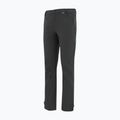 Pantaloni softshell pentru bărbați REGATTA Geo Softshell ash 9