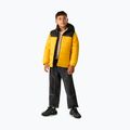 Geacă izolată pentru copii REGATTA Lofthouse black/mustard 2