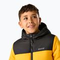 Geacă izolată pentru copii REGATTA Lofthouse black/mustard 7