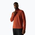 Bluză fleece pentru bărbați Regatta Thompson rooibos tea 4