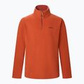 Bluză fleece pentru bărbați Regatta Thompson rooibos tea 8