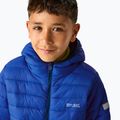 Geacă cu puf pentru copii REGATTA Hooded Marizion olympian blue/aviator blue 6