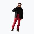 Geacă de schi pentru bărbați Dare2B Eagle IV Jacket black 2