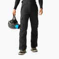 Pantaloni de schi pentru bărbați Dare 2b Baseplate Insulated Pant black