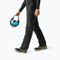 Pantaloni de schi pentru bărbați Dare 2b Baseplate Insulated Pant black 4