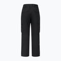 Pantaloni de schi pentru bărbați Dare 2b Baseplate Insulated Pant black 11