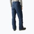 Pantaloni de schi pentru bărbați Dare 2b Baseplate Insulated Pant navy 3