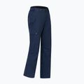Pantaloni de schi pentru bărbați Dare 2b Baseplate Insulated Pant navy 11