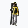 Geacă pentru bărbați Dare 2b Assimilate II Jacket mango mint/black 4