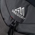 Gregory rucsac de drumeție Miwok 32 gri 126859 4