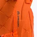 Gregory Alpinisto 28 l rucsac de alpinism portocaliu 02J*86055 5