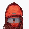 Rucsac turistic Gregory Arrio 18 l roșu 136973 4