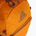 Gregory Nano 18 rucsac portocaliu 111498 4