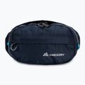 Borsetă Gregory Nano Waistpack bright navy 3