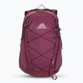 Rucsac turistic Gregory Kiro 22 l amethyst purple