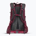 Rucsac turistic Gregory Kiro 22 l amethyst purple 3