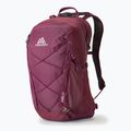 Rucsac turistic Gregory Kiro 22 l amethyst purple 6